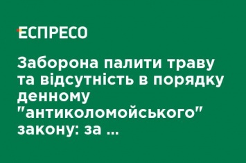 Запрет сжигать траву и отсутствие в повестке дня "антиколомойського" закона: за что будет голосовать Рада 13 апреля