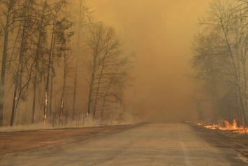 В Чернобыльской зоне седьмой день тушат лесной пожар
