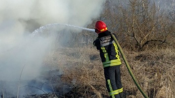 Под Житомиром неизвестные подожгли сухостой возле места, где спасатели как раз тушили огонь