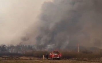 Пожар в Чернобыльской зоне: в Сеть выложили фото трагедии