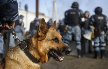 В ангарской колонии после бунта ввели режим чрезвычайной ситуации