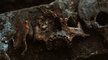 В Днепре на Запорожском шоссе в земле нашли человеческий череп и кости