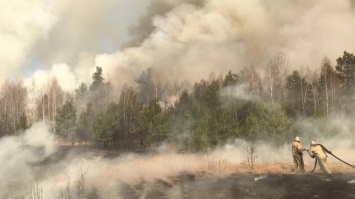 В Чернобыльской зоне продолжают гореть леса: идет выброс радиоактивного цезия-137