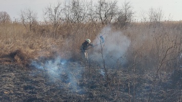 На Херсонщине за сутки выгорело два гектара экосистемы