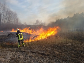 Под Киевом на пожарных напал поджигатель