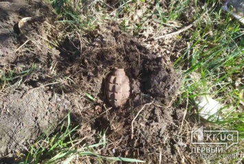 Мужчина, пасший скот в Криворожском районе, нашел гранату