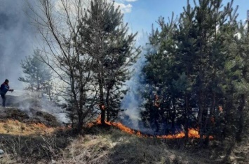 В Северодонецке выявили несовершеннолетних поджигателей травы