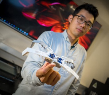 Ученые научились печатать насекомоподобных 3D-роботов в считанные минуты