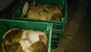 На Азовском море задержали браконьеров, которые наловили рыбы на миллион