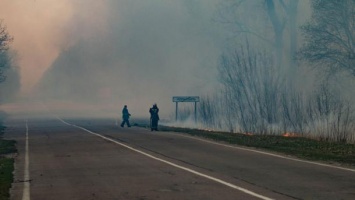 Пожар в Чернобыльской зоне отчуждения потушили, - и. о. главы Госэкоинспекции Фирсов