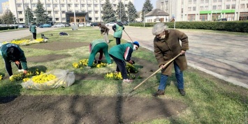 Одесский "Горзелентрест" ударными темпами высаживает весенние цветы