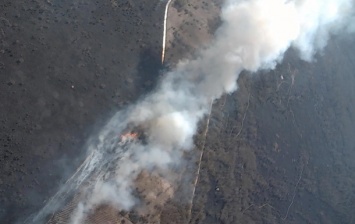 Пожары в Чернобыльской зоне показали с дрона