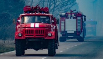 Пожар в Чернобыльской зоне: задержаны подозреваемые в поджоге