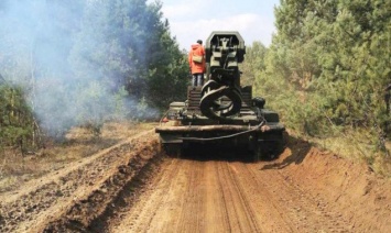 В Чернобыльской зоне спасатели продолжают тушить тлеющие очаги лесного пожара (фото, видео)