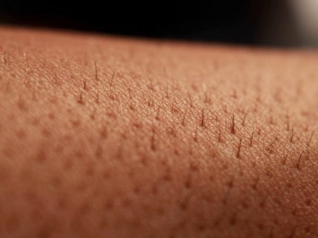Кератиновые каркасы могут помочь в восстановлении повреждений кожи