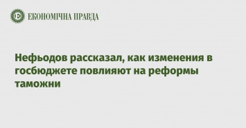 Нефьодов рассказал, как изменения в госбюджете повлияют на реформы таможни