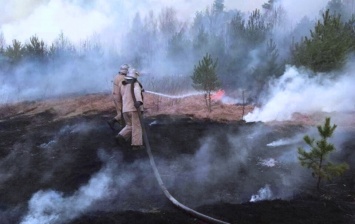 Полтысячи пожарных везут в Чернобыль: снова горит, подробности