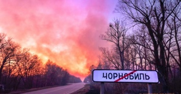 В Чернобыльскую зону привезли 500 спасателей для усиления борьбы с возгораниями