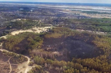 "Страдающая земля": как выглядит после пожара зона отчуждения ЧАЭС. ВИДЕО