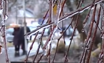 Ураганный ветер и сильные заморозки: в ГосЧС предупредили украинцев - погода сорвалась