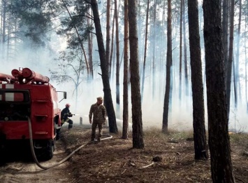 В Голосеевском лесу - пожар, гибнут животные
