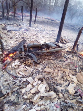 Появились фото и видео пожаров в Житомирской области, откуда воздух мог попасть в Киев