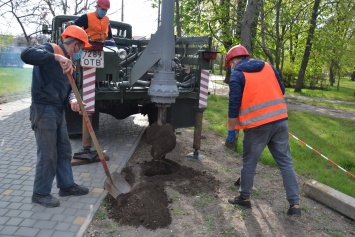 Этой весной площадь цветников в Одессе составит более четырех тысяч квадратных метров