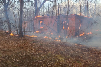 Жителей сгоревших сел Житомирской области переселили в соседние населенные пункты