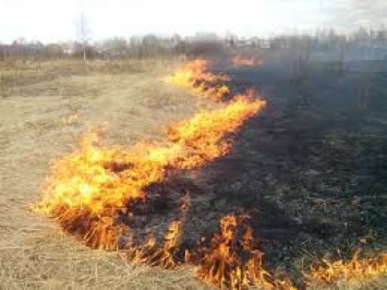 Закон о штрафах за поджоги нардепы приняли, но порядок новый не утвердили, - юристы