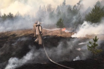 Прокуратура открыла дело из-за пожаров в Овручском районе, из-за которых загорелись дома и лес