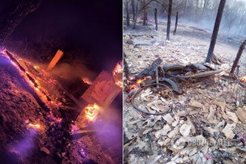 Леса на Житомирщине горят из-за добычи янтаря - Тышкевич