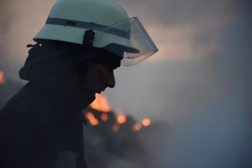 В МВД допускают, что пожары под Киевом и вследствие этого загрязнение воздуха - спланированная диверсия