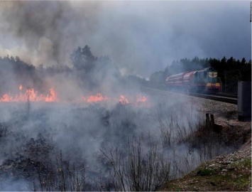 В Житомирской области продолжают полыхать лесные пожары