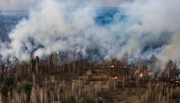 На Киевщине и Житомирщине продолжают бороться с пожарами