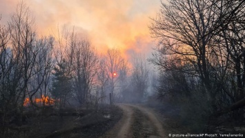 Украина в огне: пока лесные пожары только локализованы