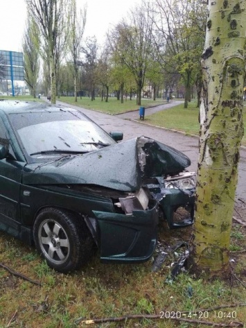 В Мариуполе автомобилист врезался в дерево, - ФОТО