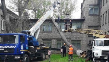 Последствия шторма. В Мариуполе 15-метровое дерево чуть не разрушило детский сад, - ФОТО