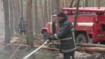 Пожары в Житомирской области уничтожили десятки домов и тысячи гектар леса: фото