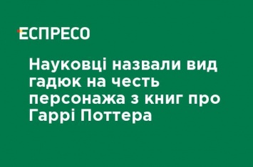 Ученые назвали вид змей в честь персонажа из книг о Гарри Поттере