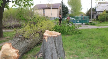 Жители поселка в Запорожье остались без электричества - фото, видео