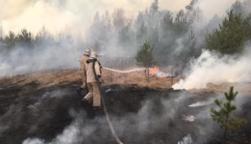 Пожары на Житомирщине: глава ОГА назвал одну из возможных причин