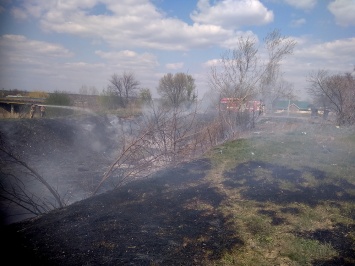 На Николаевщине объявлен 5 класс пожарной опасности - выгорело еще 2 га (ФОТО)
