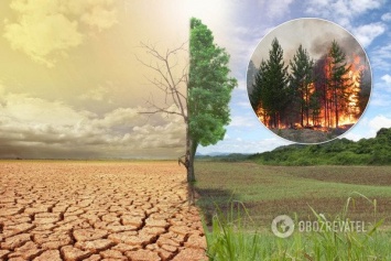 ''Идеальные условия!'' Выяснилось, какая связь между пожарами в мире и изменением климата