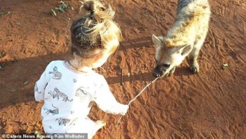 "Дикая" дружба: двухлетняя девочка приручила гиен