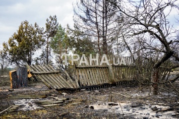 "Страна" узнала, как в Житомирской области тушат пожары и сколько денег выделят пострадавшим жителям сел. Фото
