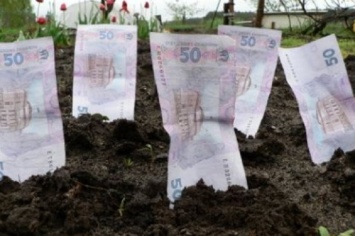 Аграрии Николаевщины уплатили в бюджет более 17 млн грн арендной платы за землю