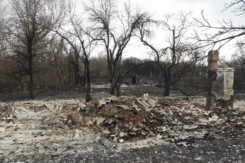 Из-за пожаров в зоне отчуждения пострадало 11,5 тыс. га заповедника