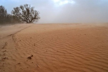 Пыльные бури превращают поля Украины в пустыню: синоптик объяснил, кто виноват