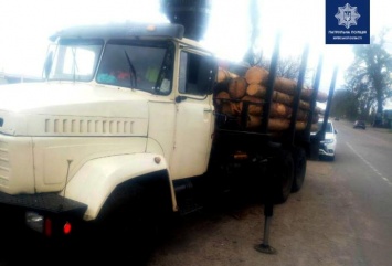 Под Киевом лес вывозили грузовиком