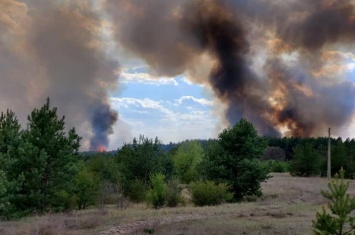 Пожар под Северодонецком уничтожил 27 гектаров леса